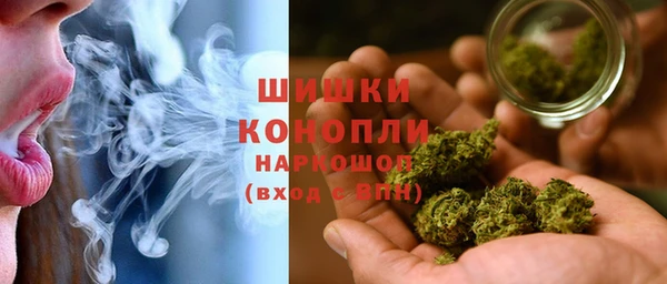 трава Аркадак