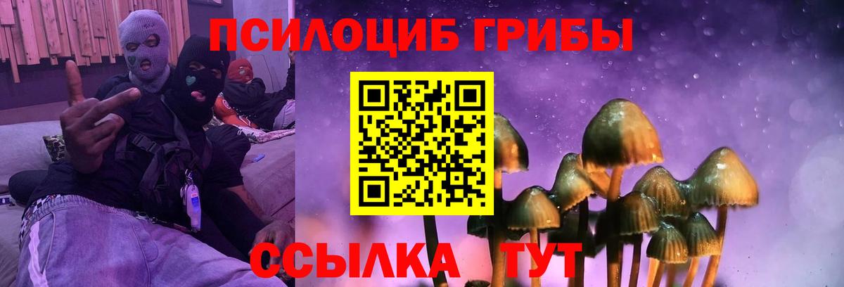 Галлюциногенные грибы Magic Shrooms Нарьян-Мар
